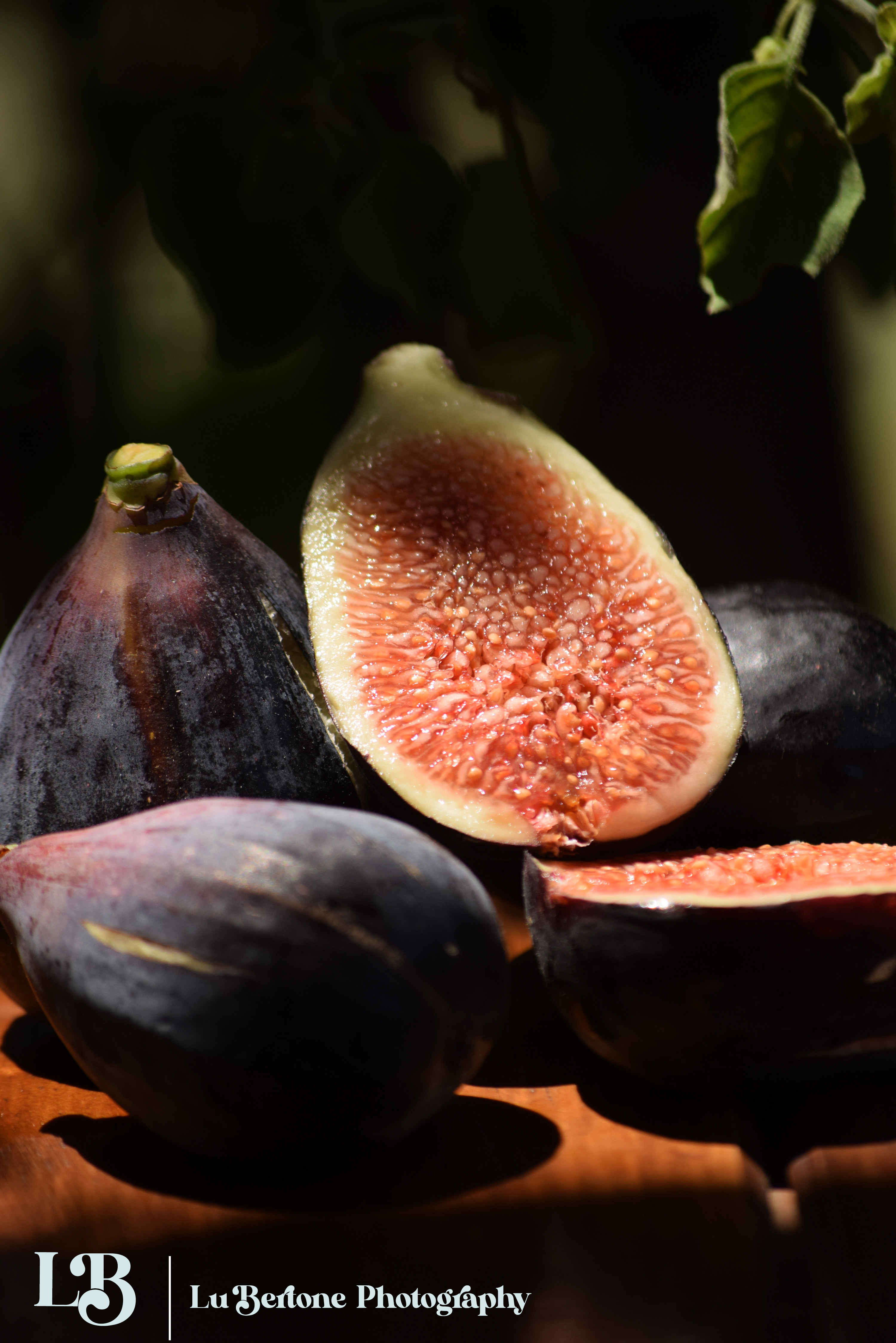 Sesión de Frutos de Campo